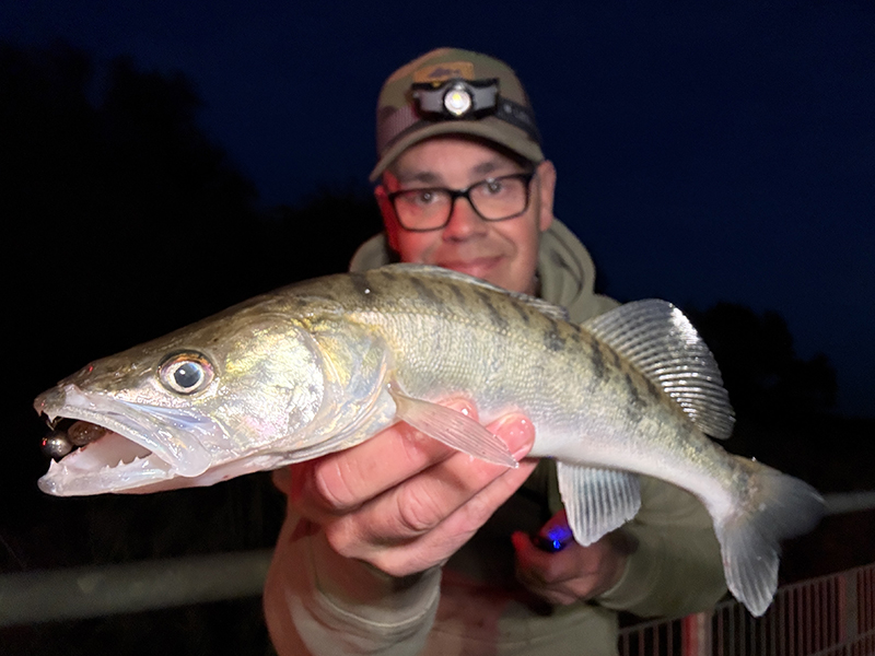 DRUKTE OPZIJ GEDRUKT…