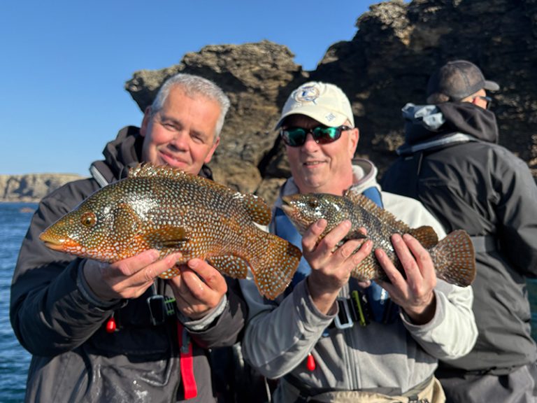 GESTIPPELDE RAKKERS…